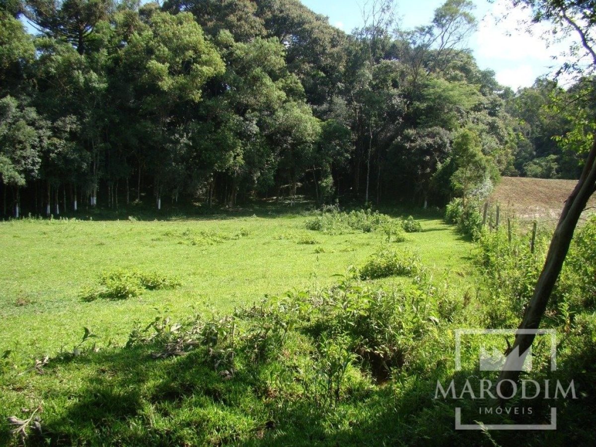 Sítio com 2212m², Nao suíte, no bairro Interior em Marau
