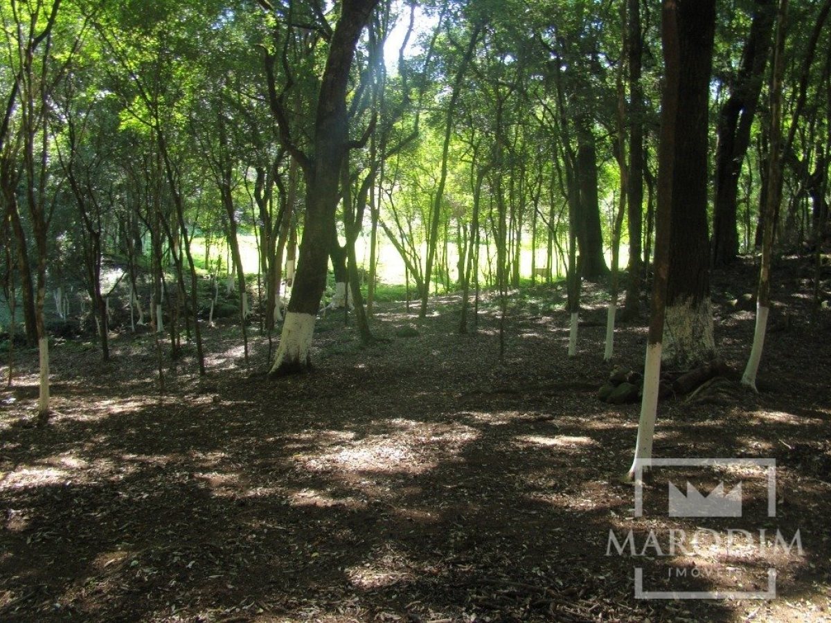 Sítio com 2212m², Nao suíte, no bairro Interior em Marau