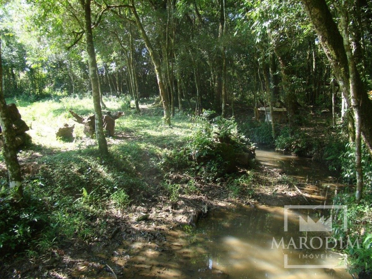 Sítio com 3200m², Nao suíte, no bairro Interior em Marau