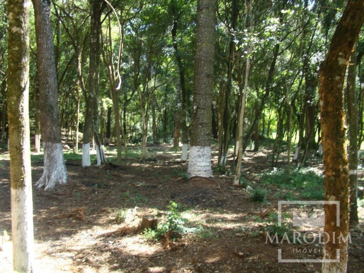 Sítio com 3200m², Nao suíte, no bairro Interior em Marau