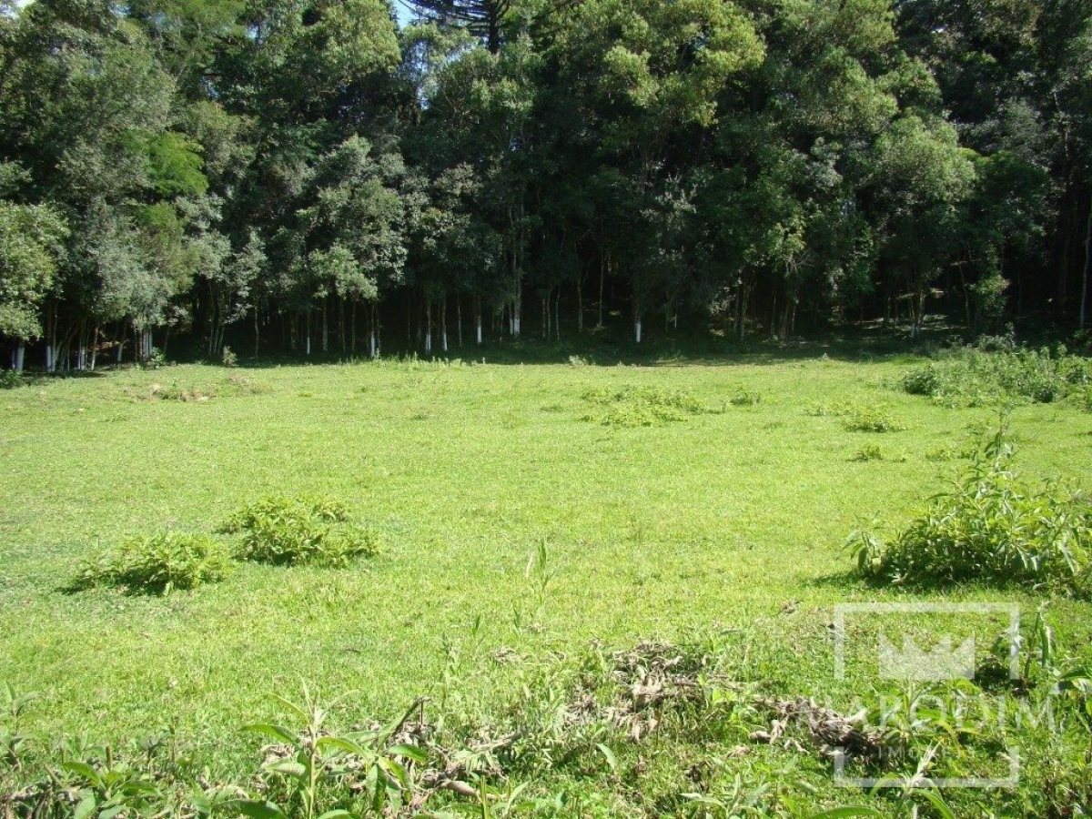 Sítio com 3200m², Nao suíte, no bairro Interior em Marau