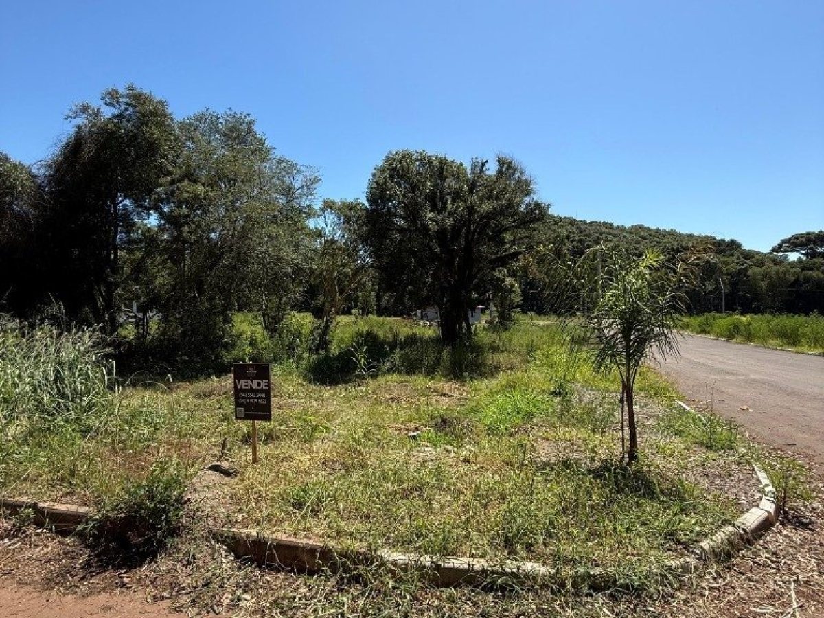 Terreno com 412m², Nao suíte, no bairro Borges de Medeiros em Marau