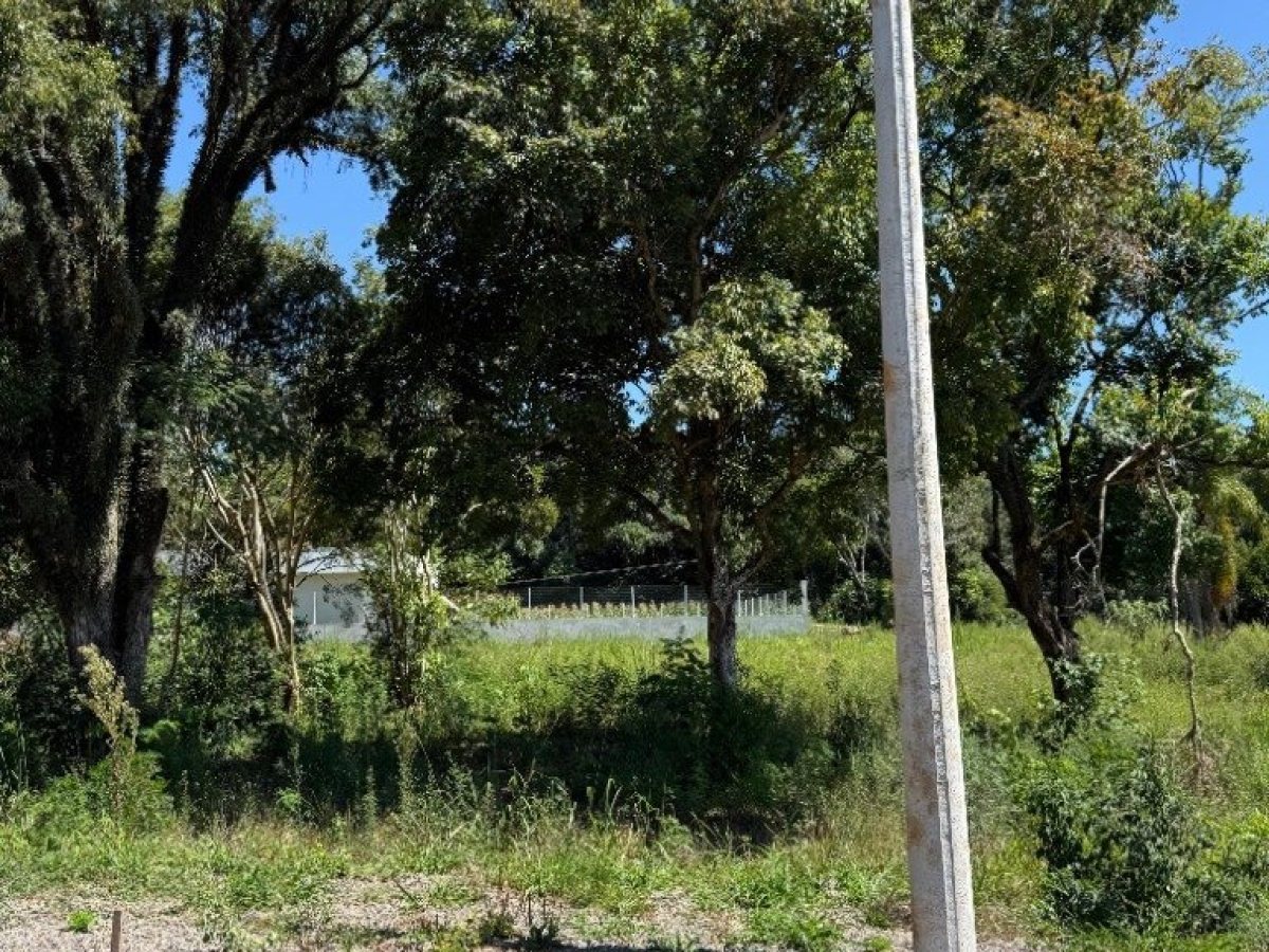 Terreno com 346m², Nao suíte, no bairro Borges de Medeiros em Marau