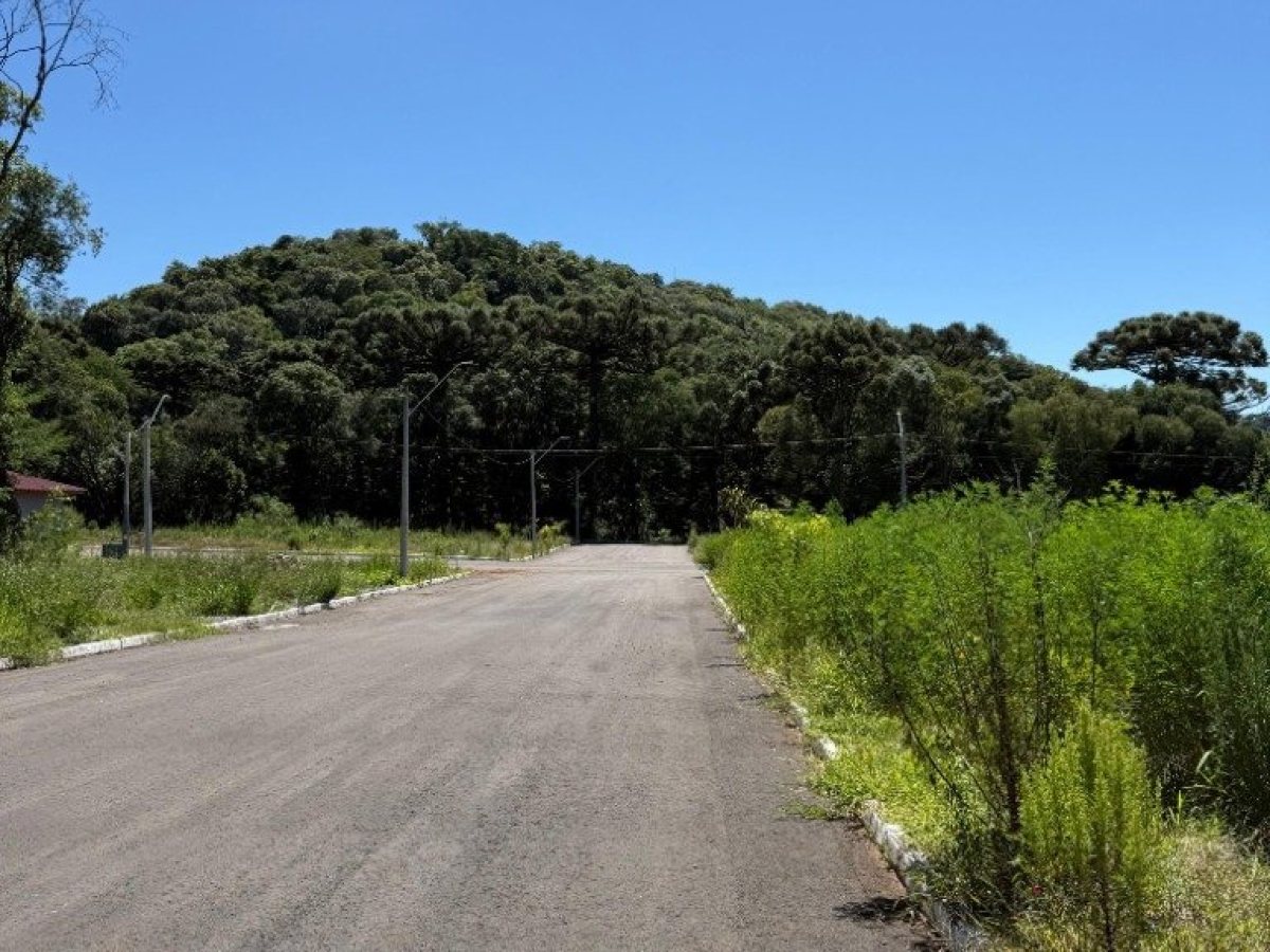 Terreno com 337m², Nao suíte, no bairro Borges de Medeiros em Marau