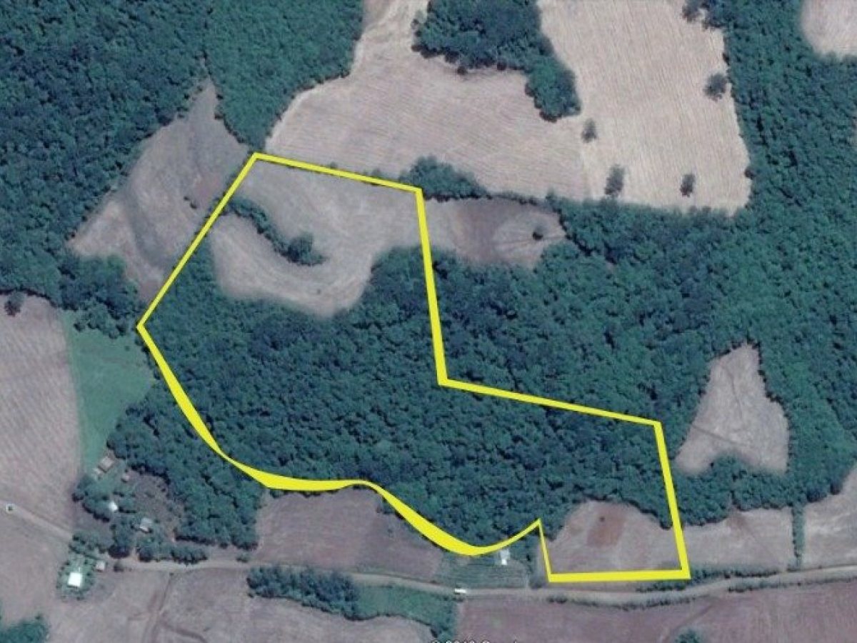 Terreno com 57347m², Nao suíte, no bairro Interior em Marau