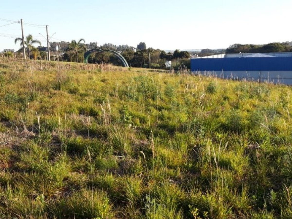 Terreno com 589m², Nao suíte, no bairro Colinas Nova Marau em Marau