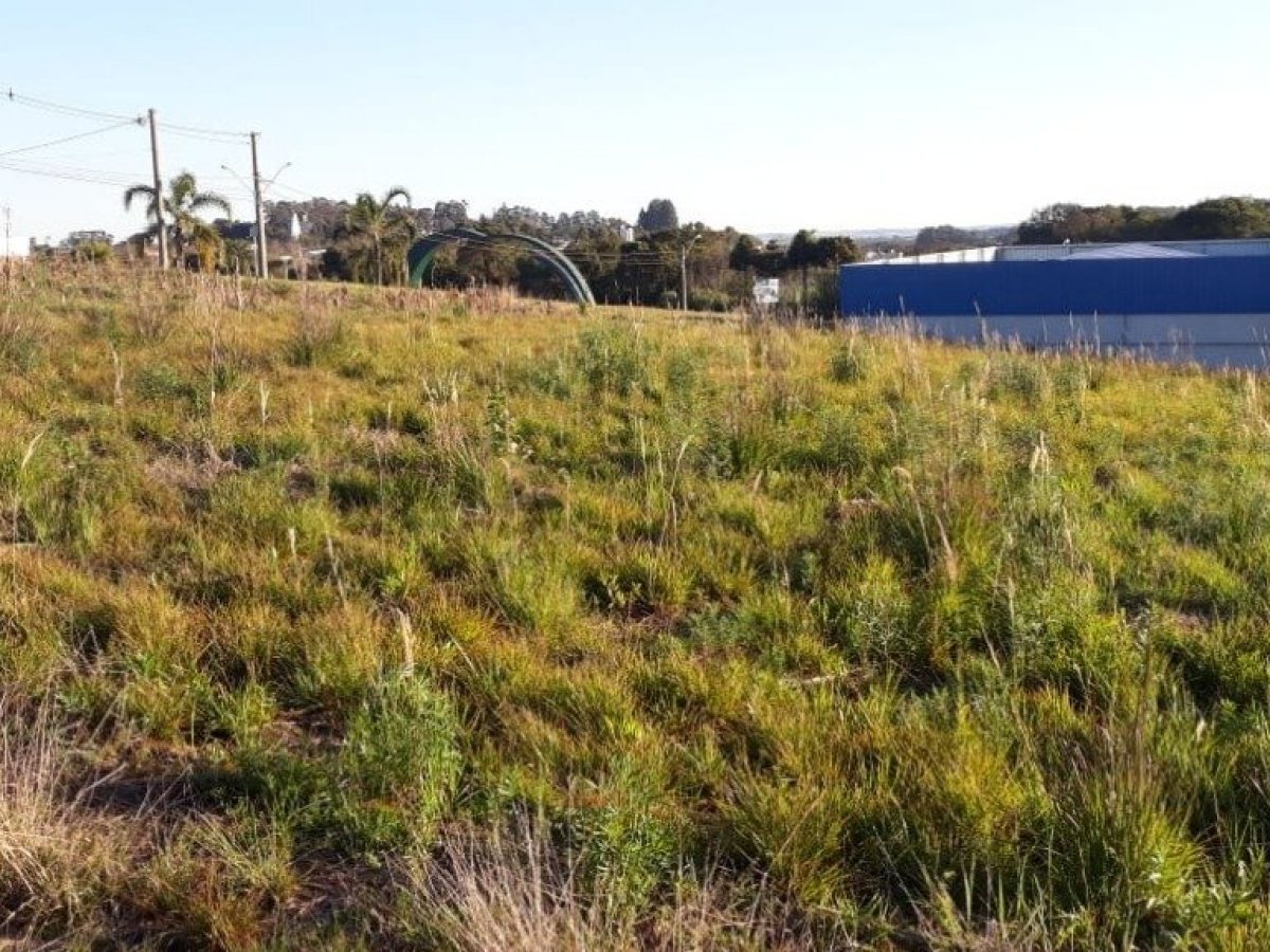 Terreno com 589m², Nao suíte, no bairro Colinas Nova Marau em Marau