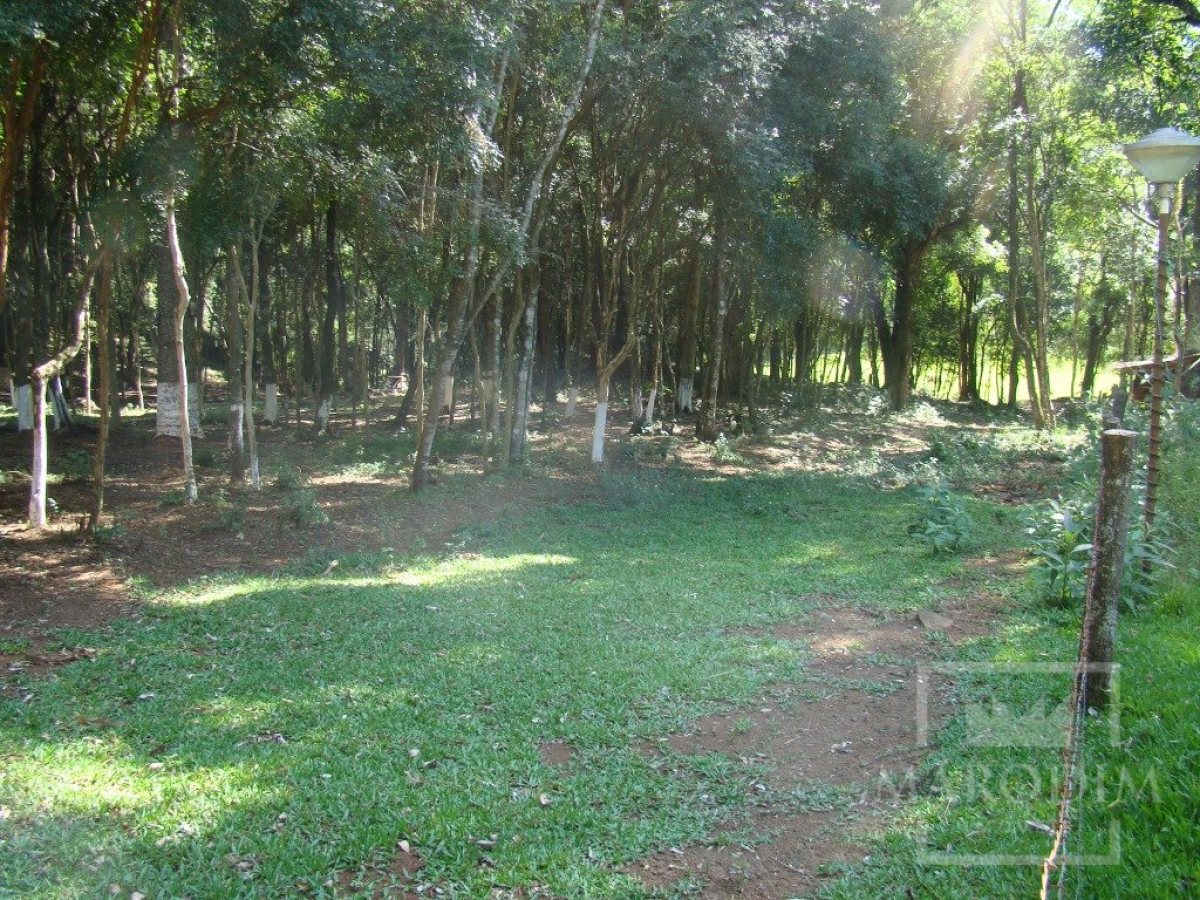 Sítio com 10000m², Nao suíte, no bairro Linha 25 em Marau