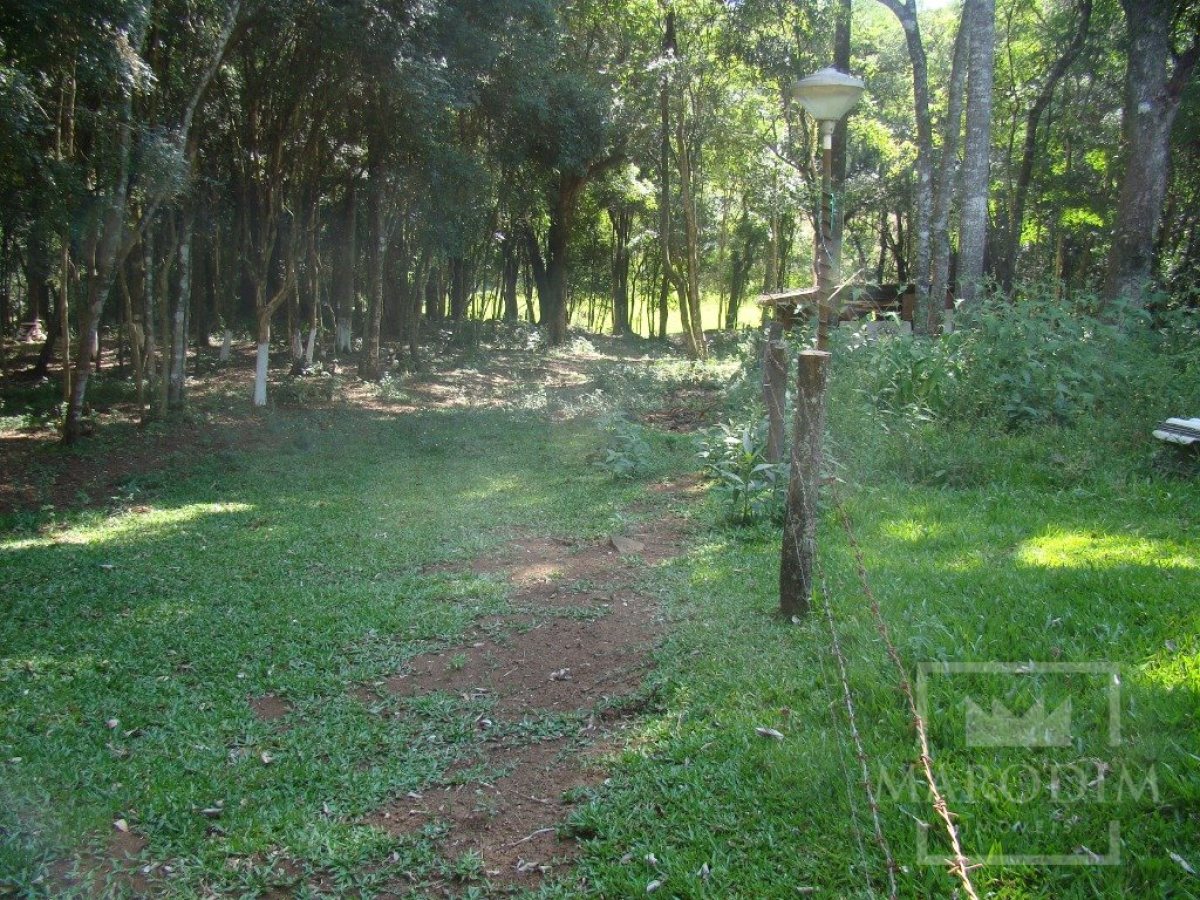 Sítio com 10000m², Nao suíte, no bairro Linha 25 em Marau
