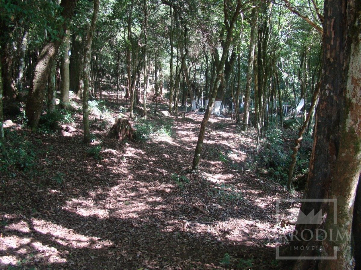 Sítio com 10000m², Nao suíte, no bairro Linha 25 em Marau