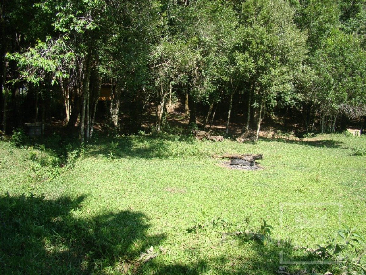 Sítio com 10000m², Nao suíte, no bairro Linha 25 em Marau