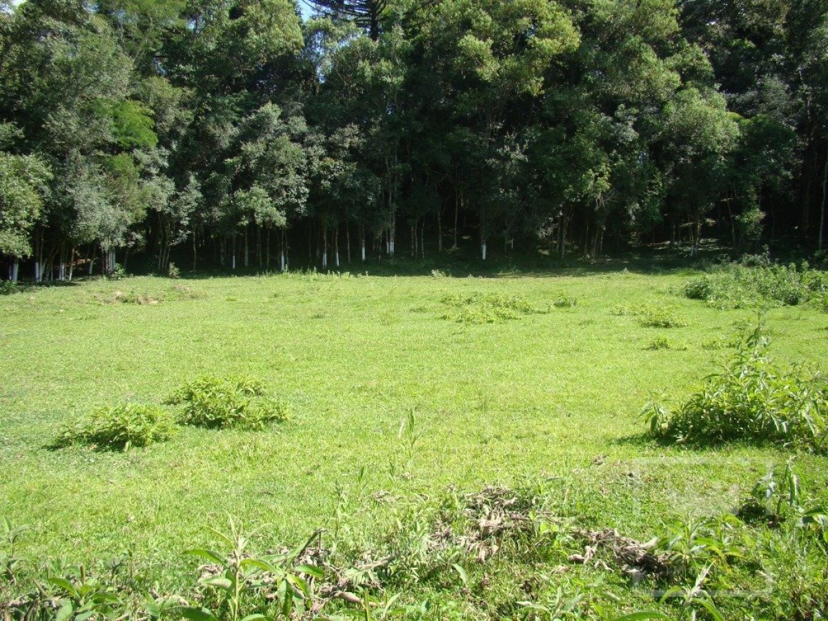 Sítio com 10000m², Nao suíte, no bairro Linha 25 em Marau