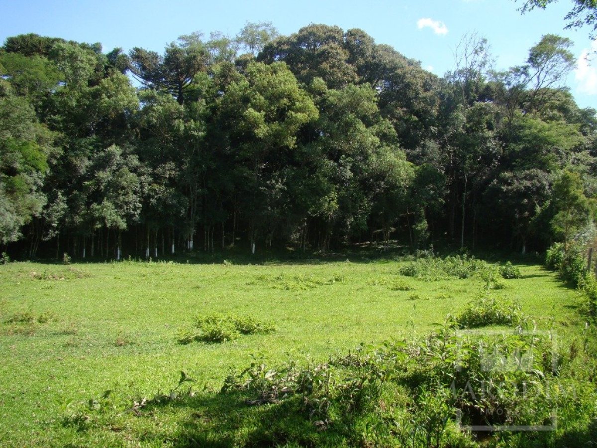 Sítio com 10000m², Nao suíte, no bairro Linha 25 em Marau