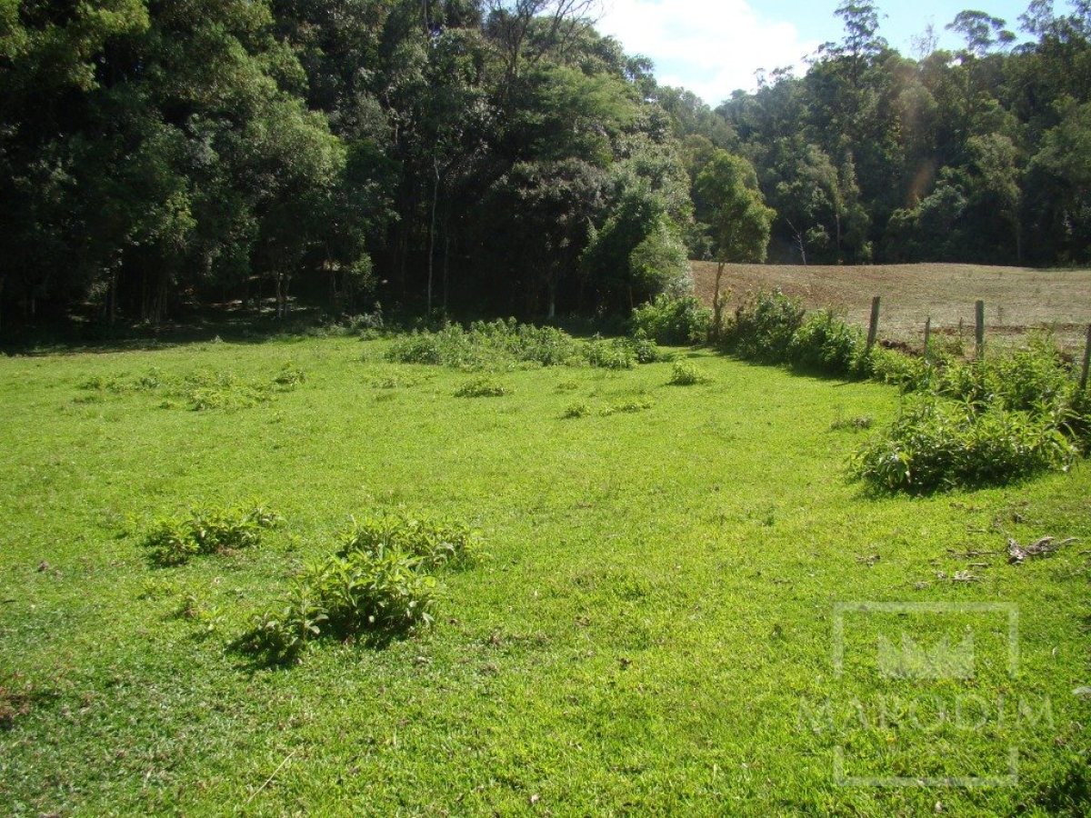 Sítio com 10000m², Nao suíte, no bairro Linha 25 em Marau