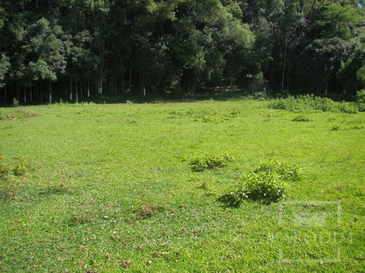 Sítio com 10000m², Nao suíte, no bairro Linha 25 em Marau