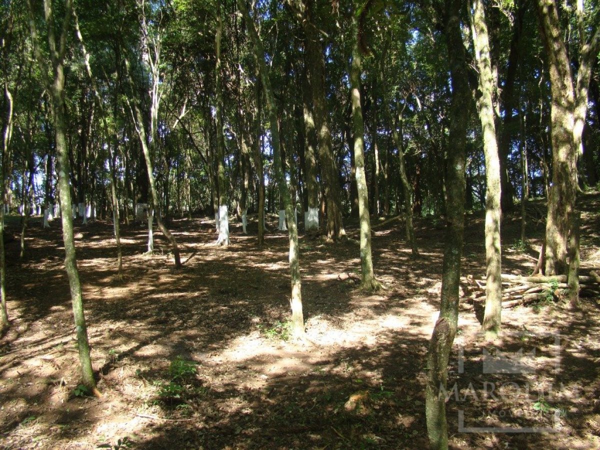 Sítio com 10000m², Nao suíte, no bairro Linha 25 em Marau