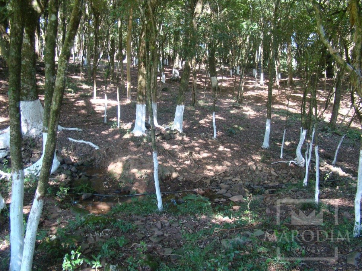 Sítio com 10000m², Nao suíte, no bairro Linha 25 em Marau