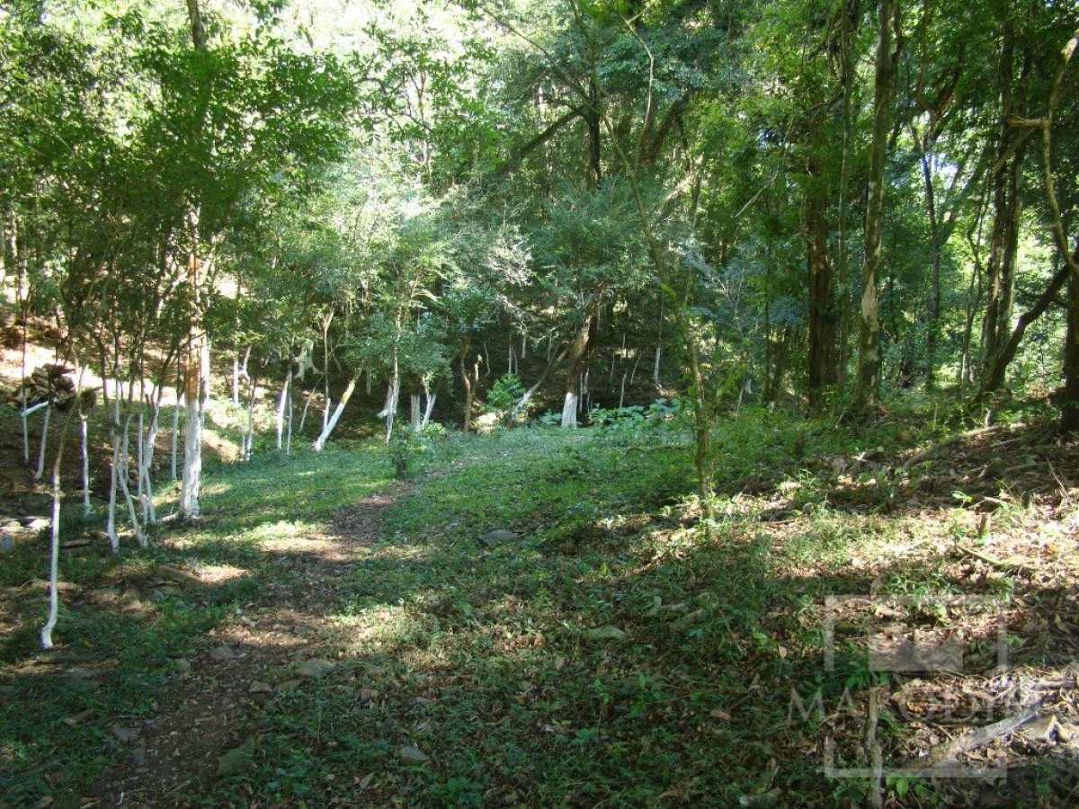 Sítio com 10000m², Nao suíte, no bairro Linha 25 em Marau