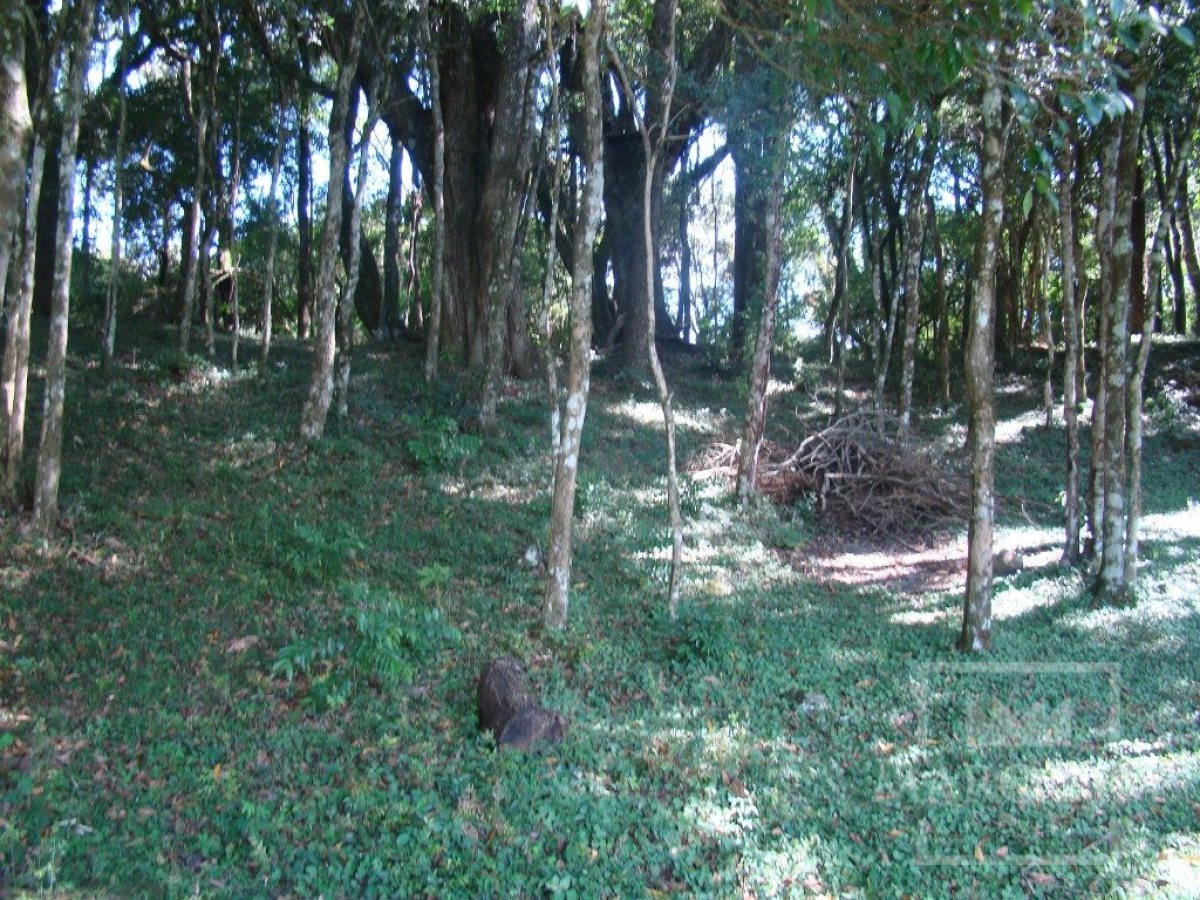 Sítio com 10000m², Nao suíte, no bairro Linha 25 em Marau