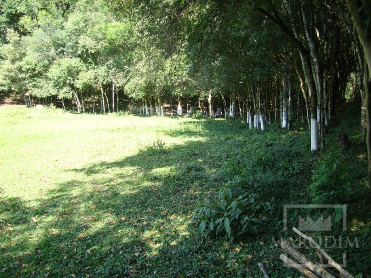 Sítio com 10000m², Nao suíte, no bairro Linha 25 em Marau