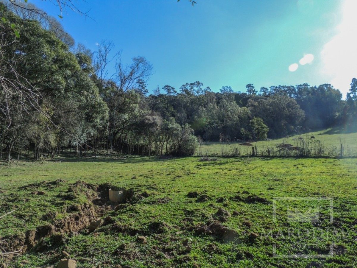 Sítio com 10000m², Nao suíte, no bairro Linha 25 em Marau