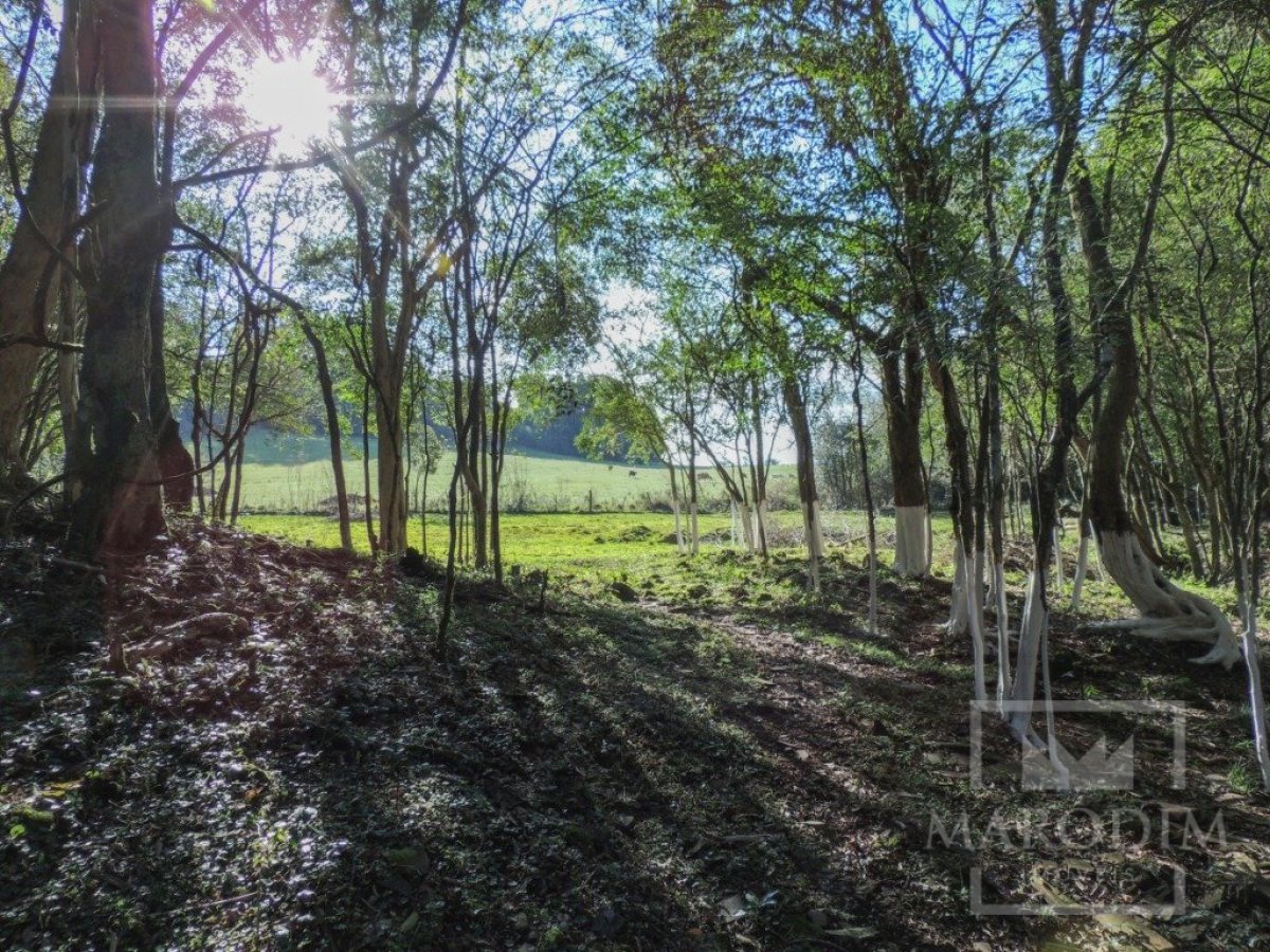 Sítio com 10000m², Nao suíte, no bairro Linha 25 em Marau