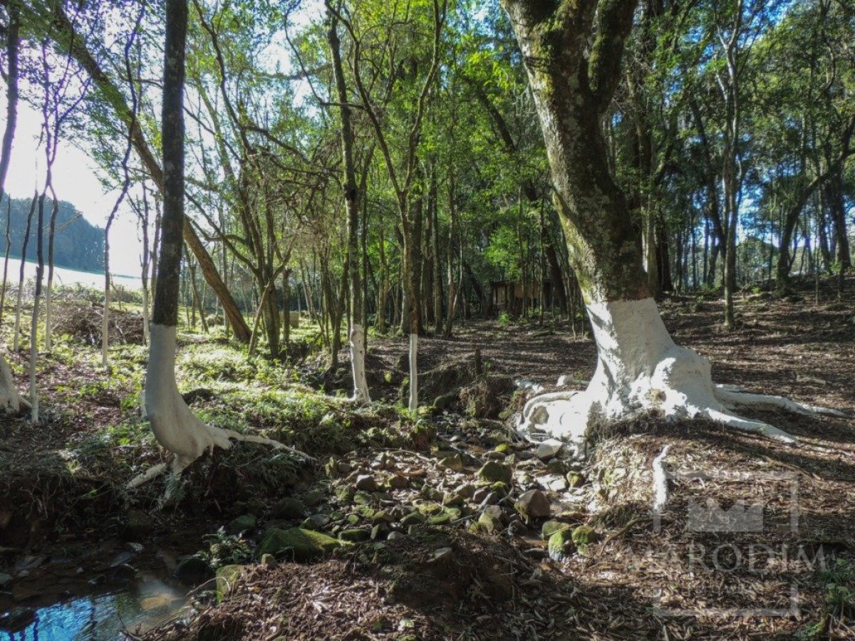 Sítio com 10000m², Nao suíte, no bairro Linha 25 em Marau