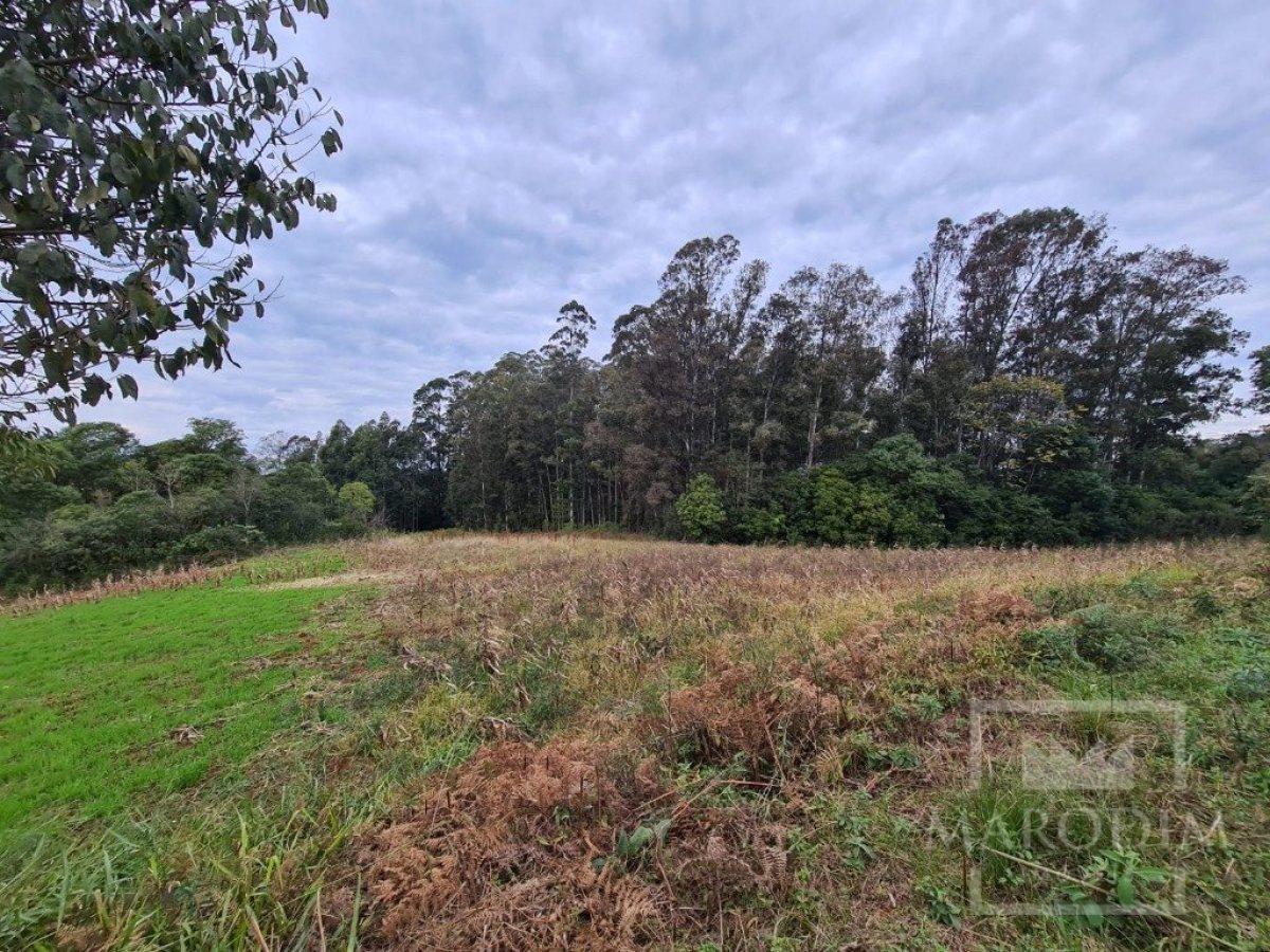 Área com 10977m², Nao suíte, no bairro Borges de Medeiros em Marau