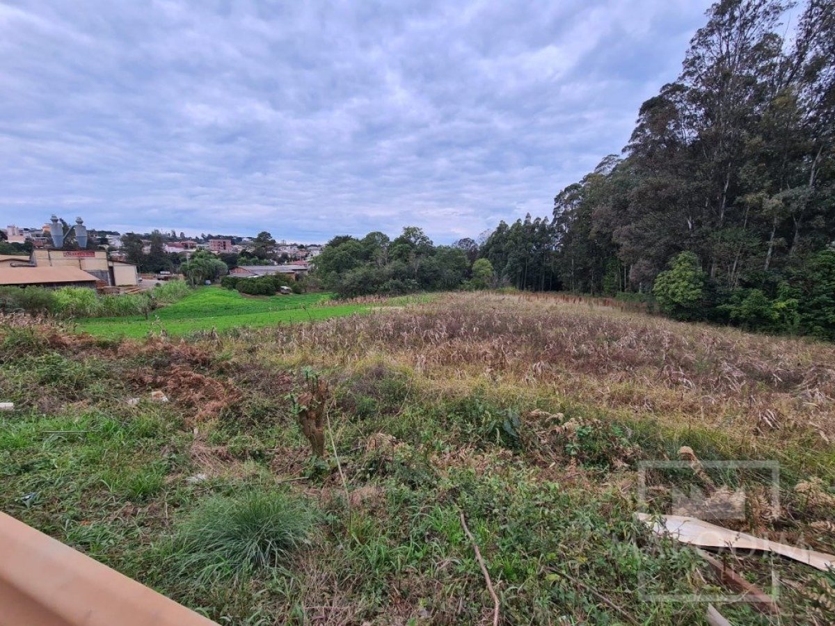 Área com 10977m², Nao suíte, no bairro Borges de Medeiros em Marau