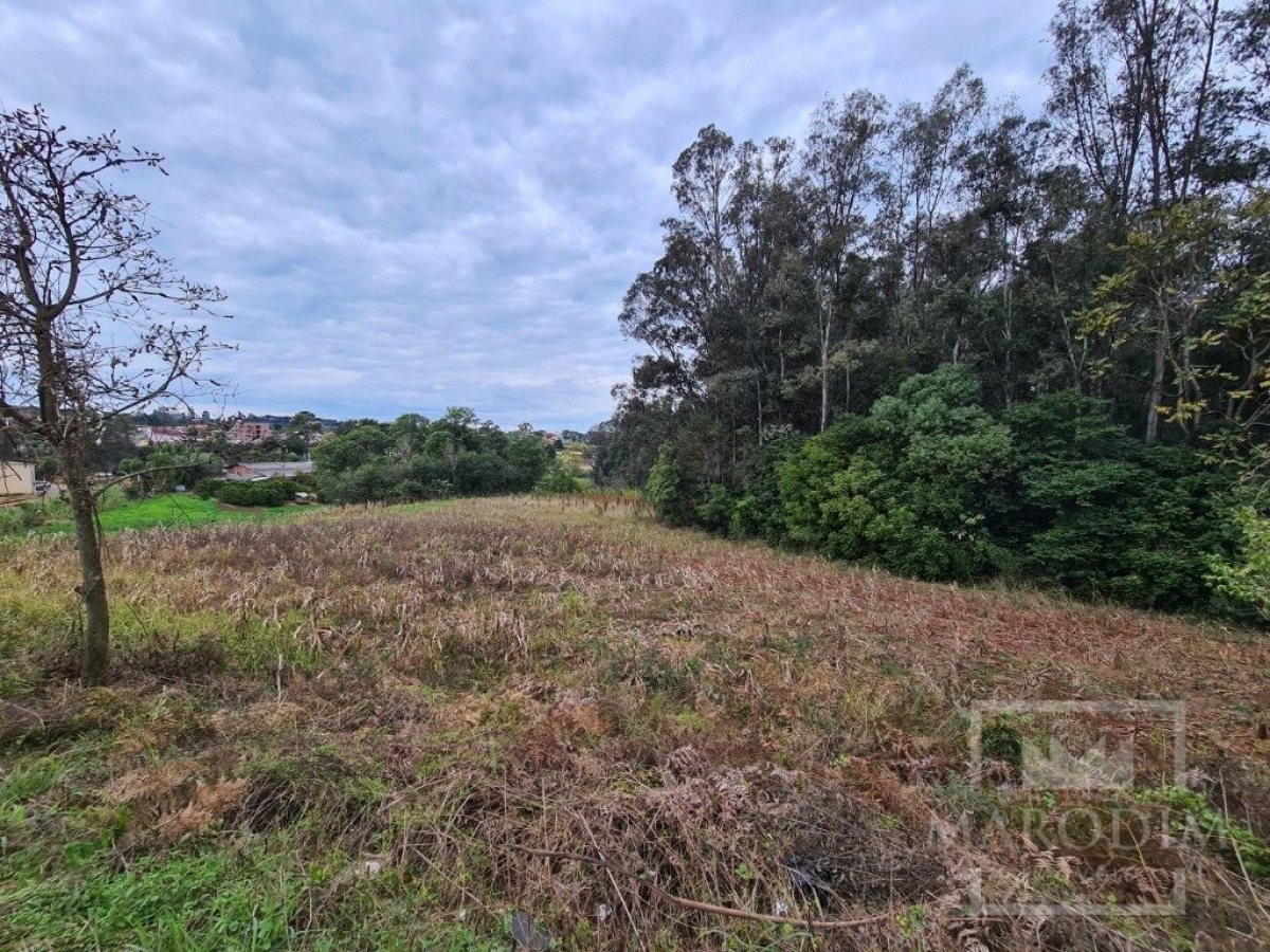 Área com 10977m², Nao suíte, no bairro Borges de Medeiros em Marau