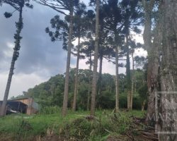 Sítio com 1150m², Nao suíte, no bairro Interior em Marau