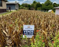 Terreno com 480000m², Nao suíte, no bairro Santa Lucia em Marau