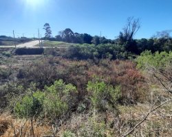 Terreno com 305m², Nao suíte, no bairro Loteamento Residencial Luiza Breda em Marau