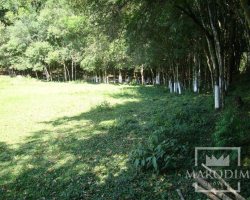 Sítio com 3200m², Nao suíte, no bairro Interior em Marau