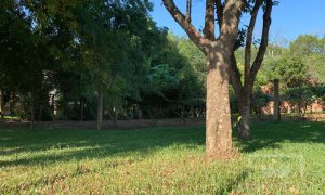 Sítio com 17294m², 3 dormitórios, Nao suíte, 4 vagas, no bairro Interior em Marau