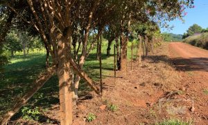 Sítio com 17294m², 3 dormitórios, Nao suíte, 4 vagas, no bairro Interior em Marau