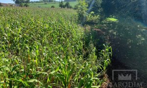 Sítio com 17294m², 3 dormitórios, Nao suíte, 4 vagas, no bairro Interior em Marau