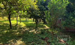 Sítio com 17294m², 3 dormitórios, Nao suíte, 4 vagas, no bairro Interior em Marau