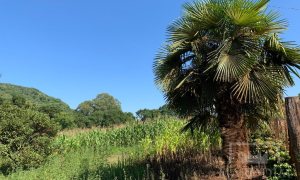 Sítio com 17294m², 3 dormitórios, Nao suíte, 4 vagas, no bairro Interior em Marau