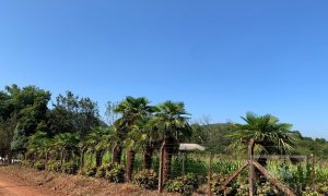 Sítio com 17294m², 3 dormitórios, Nao suíte, 4 vagas, no bairro Interior em Marau