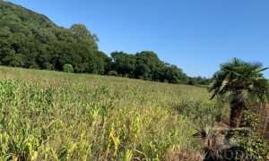 Sítio com 17294m², 3 dormitórios, Nao suíte, 4 vagas, no bairro Interior em Marau