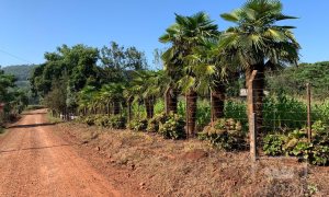 Sítio com 17294m², 3 dormitórios, Nao suíte, 4 vagas, no bairro Interior em Marau