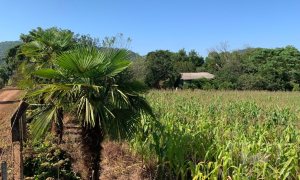 Sítio com 17294m², 3 dormitórios, Nao suíte, 4 vagas, no bairro Interior em Marau