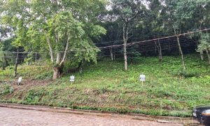 Terreno com 300m², Nao suíte, no bairro Guadalupe em Marau