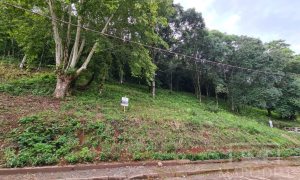 Terreno com 300m², Nao suíte, no bairro Guadalupe em Marau