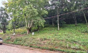 Terreno com 300m², Nao suíte, no bairro Guadalupe em Marau
