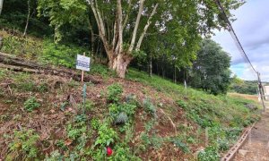 Terreno com 300m², Nao suíte, no bairro Guadalupe em Marau