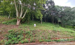 Terreno com 300m², Nao suíte, no bairro Guadalupe em Marau