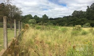 Terreno com 8201m², Nao suíte, no bairro Borges de Medeiros em Marau