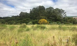 Terreno com 8201m², Nao suíte, no bairro Borges de Medeiros em Marau